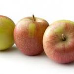 afbeelding van een appel